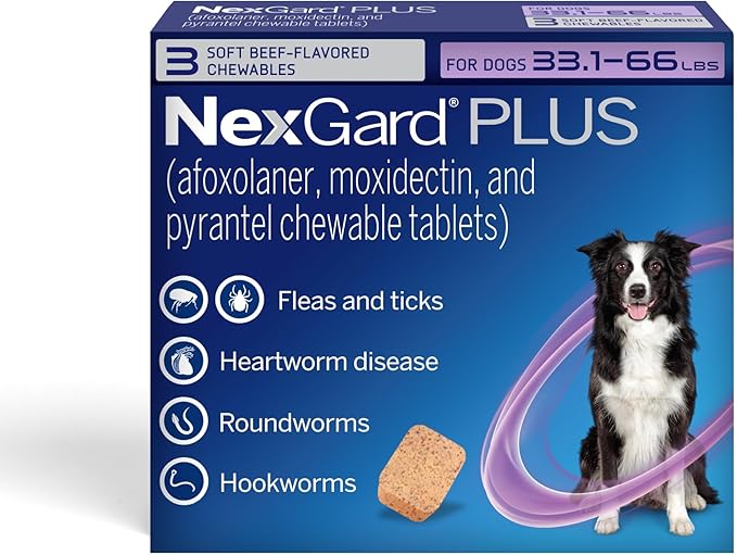 NexGard Plus (afoxolaner, moxidectin, and pyrantel) Flea and Tick Protection & Heartworm Preventive for Dogs Soft Beef Flavored Chewables, 33.1-66 lbs. (Purple) 3 Chews (3 Month Supply)