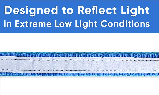 Pawtitas Lumberjack Padded Martingale Collar for Dogs | Soft Neoprene Dog Collar for Your pet's Comfort Made with Reflective Band for Maximum Visibility | Fits Small and Large Pets - Medium Blue