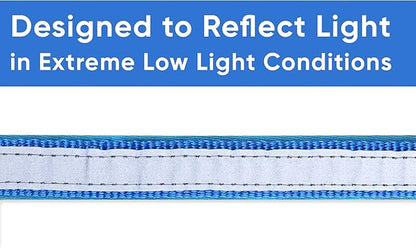 Pawtitas Lumberjack Padded Martingale Collar for Dogs | Soft Neoprene Dog Collar for Your pet's Comfort Made with Reflective Band for Maximum Visibility | Fits Small and Large Pets - XS Blue
