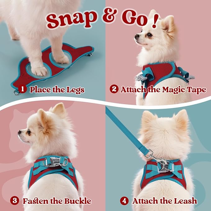 rabbitgoo Dog Harness Small Sized and Leash Set, Step-in Breathable Pet Harness, Soft Walking Reflective Puppy Vest for Small Dogs, Red & Teal, M
