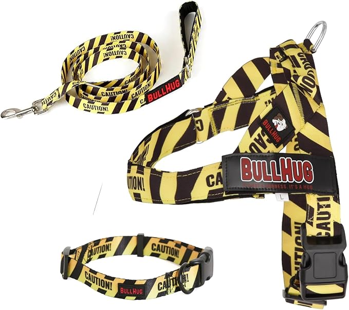 BULLHUG 6 FT Bulldog Leash with Padded Handle - Perfect for French Bulldogs, Pugs & All Breeds - Walking and Training Lead (Star Bright)