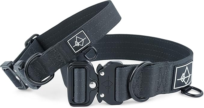 Made to ROAM Premium Dog Collar - Adjustable Heavy Duty Nylon Collar with Quick-Release Metal Buckle (New York Afterlight, Classic Size 4)