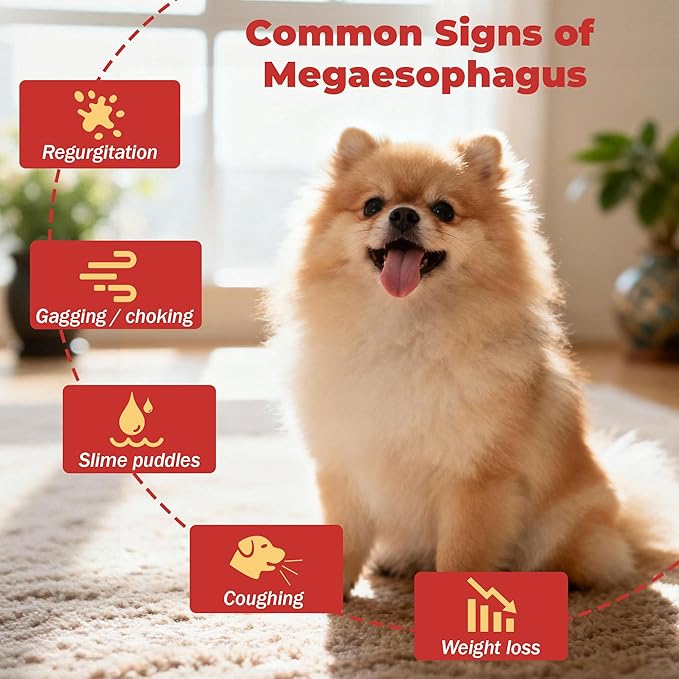 Slippery Elm for Dogs – Megaesophagus Dog Aid – Vet-Formulated Organic Slippery Elm Bark Powder – Cat Digestive Support – Relief for Constant Upset Stomach, Acid Reflux, Throwing Up – 5.3 oz