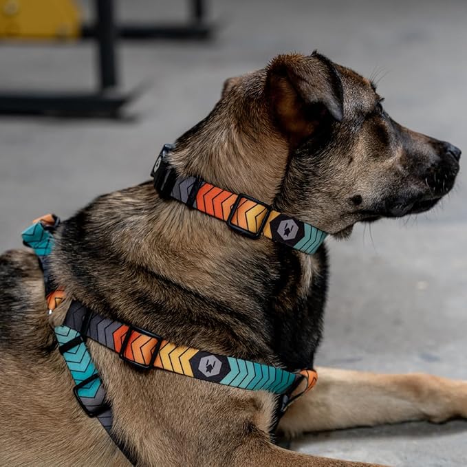 Wolfgang Heavy Duty Adjustable Dog Harness, Pull-Tested to Over 800 lbs for Walking & Training, ChevTech Print, Medium