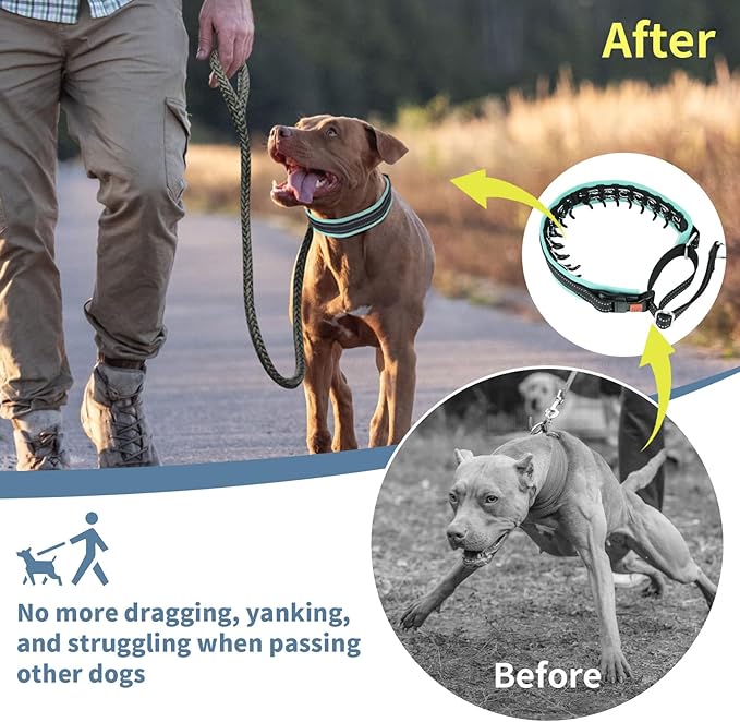 Mayerzon Martingale No Pull Collar for Small Medium Dogs, Patented Anti Pull Dog Collar with Buckle for Walking Training, with Neoprene Padding and Reflective Stitching, Adjustable(Teal Trim, S)