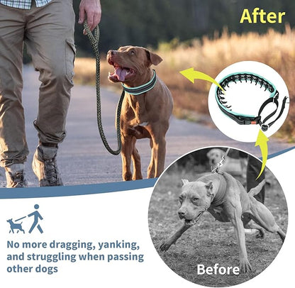 Mayerzon Martingale No Pull Collar for Small Medium Dogs, Patented Anti Pull Dog Collar with Buckle for Walking Training, with Neoprene Padding and Reflective Stitching, Adjustable(Teal Trim, S)