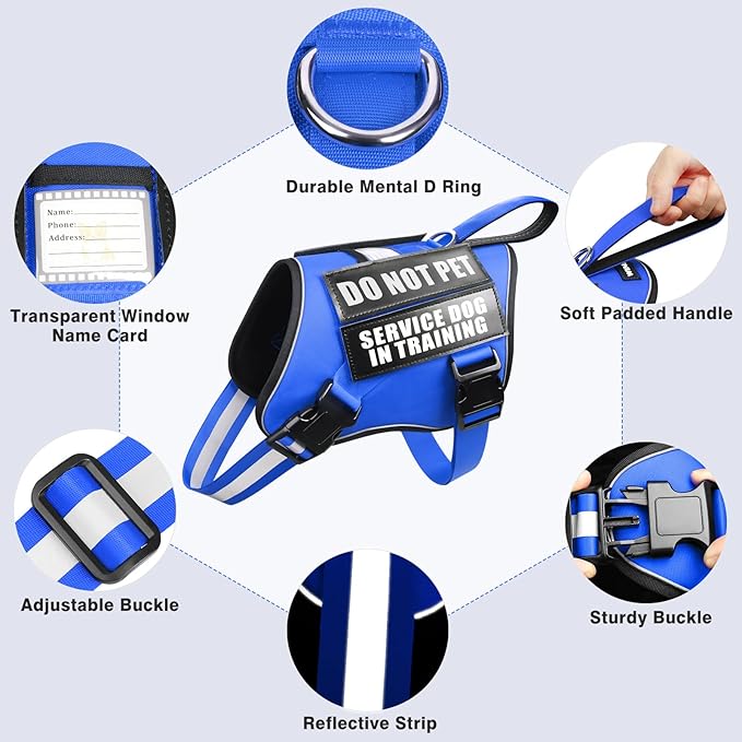 Service Dog Harness and Leash Set, Training Dog Vest with 10 Dog Patches, Emotional Support Therapy Dog Vest Harness for Small Medium Large and Extra Large Dogs(Blue, L)