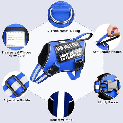 Service Dog Harness and Leash Set, Training Dog Vest with 10 Dog Patches, Emotional Support Therapy Dog Vest Harness for Small Medium Large and Extra Large Dogs(Blue, L)