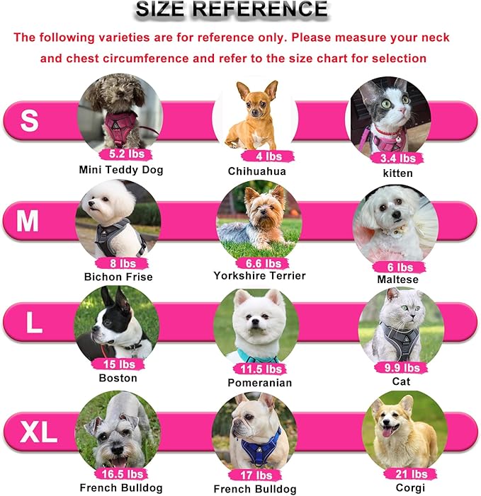 SOLMOONY Small Dog Harness,Soft Mesh Puppy Harness and Leash Set,No Escape Cat Harnesses for Training Walking,Reflective Adjustable Puppy Vest for Small Medium Dogs, Cats (Brown, XL)
