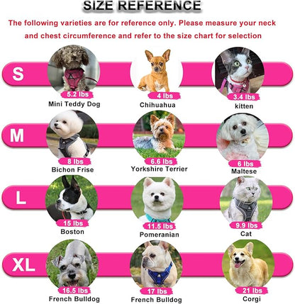 SOLMOONY Small Dog Harness,Soft Mesh Puppy Harness and Leash Set,No Escape Cat Harnesses for Training Walking,Reflective Adjustable Puppy Vest for Small Medium Dogs, Cats (Grey, M)