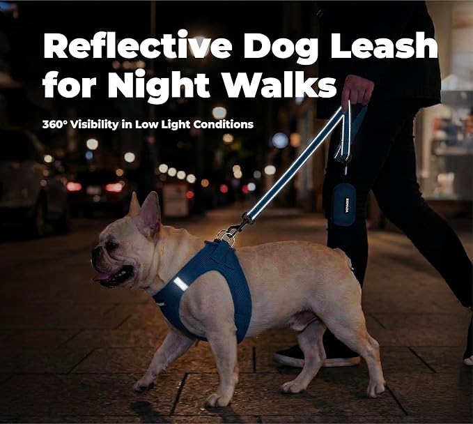 Best Pet Supplies Voyager Reflective Dog Leash or Collar with Neoprene Handle, for Small, Medium, and Large Breed Puppies, Cute and Heavy Duty for Walking, Running and Training - Royal Blue (Leash), M