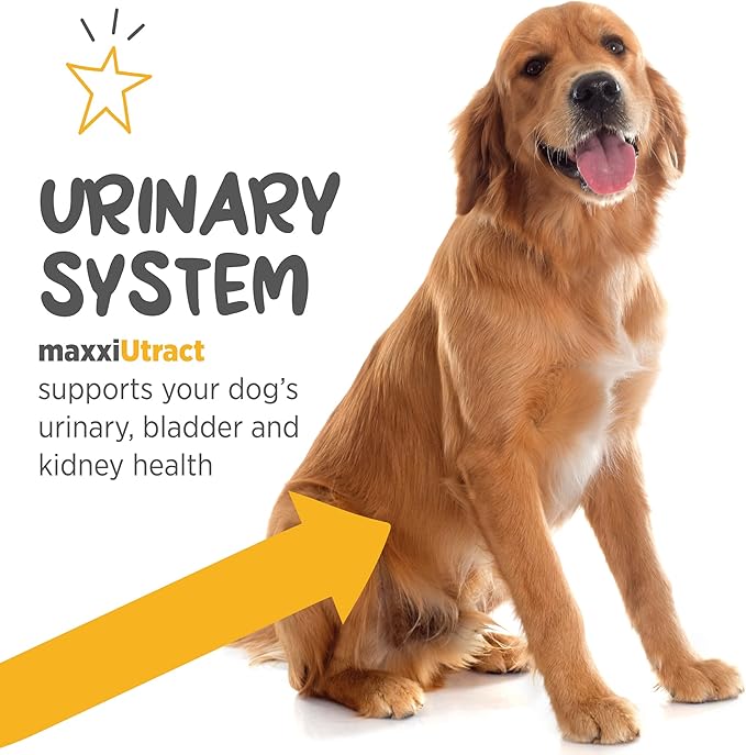 maxxiUtract Urinary & Bladder Support for Dogs – Natural Powder Supplement for Urinary Tract Health, Bladder Comfort & Ongoing Urinary System Support – D-Mannose & Cranberry Formula - 5.3 oz