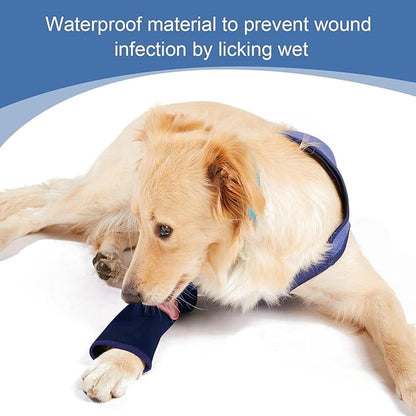 Coodeo Dog Recovery Suit, Cone Collar Alternative, Abrasion Resistant Dog Recovery Sleeve, Washable 2.5mm Thick and Waterproof, Pet Wounds Prevent Licking, Bite, Keep Dry（Purple，M