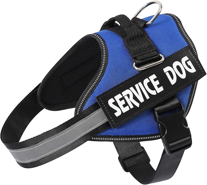 MUMUPET Service Dog Vest Harness, No Pull Reflective Adjustable with Handle, Soft Breathable Padding for Small Dogs, 2 Removable Velcro Patches (Blue, XS)