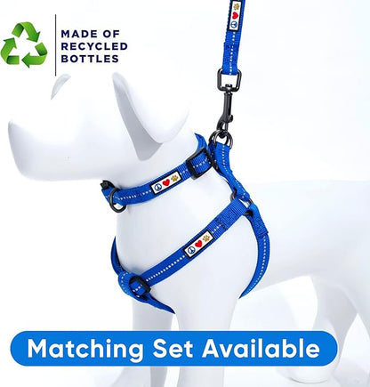 Pawtitas Blue Dog Leash 6 ft M/L Reflective Durable Lightweight Recycled Lead for Medium or Large Dogs and Puppies