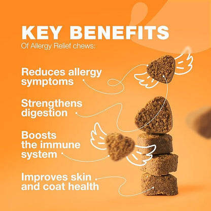 Dog Allergy Relief Chews - Itch Relief for Dogs - 180 Allergy Chews for Itching Skin with Probiotics, Colostrum, Salmon Oil - Allergy, Skin and Coat, Immune, Digestion Support Supplement - Hot Spots