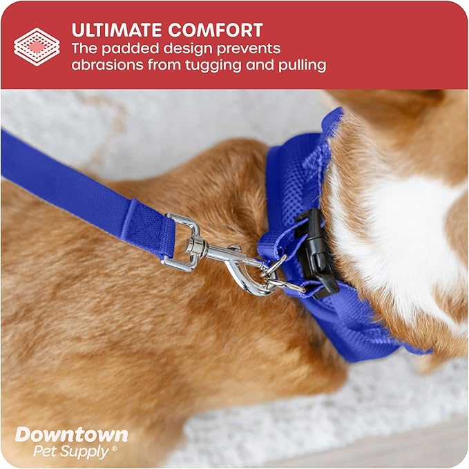 Downtown Pet Supply Step in Dog Harness for Small Dogs No Pull, Medium, Blue - Adjustable Harness with Padded Mesh Fabric and Reflective Trim - Buckle Strap Harness for Dogs