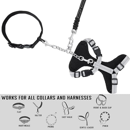 Prong Collar Safety Clip Stainless Steel Dog Safety Clip, Leash Backup with Dual Clasps, Collars and No Pull Harness Connectors