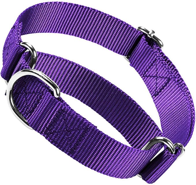 Choker Collar for Dogs, Escape Proof Dog Martingale Collar No Pull Cinch Dog Training Collars Adjustable for Small Medium Large Breed Pet Dogs, Purple S