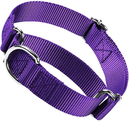 Choker Collar for Dogs, Escape Proof Dog Martingale Collar No Pull Cinch Dog Training Collars Adjustable for Small Medium Large Breed Pet Dogs, Purple S