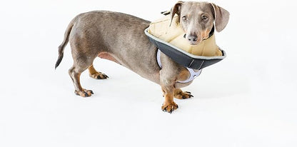 All Four Paws Comfy Cone Pet Cone for Dogs, Cats, Small-Long, Tan - Comfortable Soft Dog Cone Collar Alternative for After Surgery, Wound Care, Spay, Neuter - Dog and Cat Recovery Elizabethan-Collar