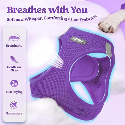rabbitgoo Dog Harness Small Sized and Leash Set, Step in Soft Light Puppy Vest, Breathable Mesh Pet Harness, Reflective for Safe Outdoor Walking, Purple XXS