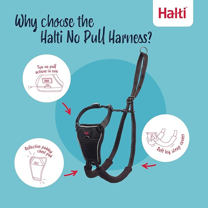 Halti No Pull Harness & Halti Training Leash Size Large, Black Combination Pack - Stop Your Dog Pulling on The Leash. Adjustable, Lightweight and Easy to Use. Suitable for Large Dogs