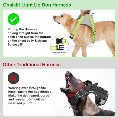 ChalkLit Light Up Dog Harness, No Pull Led Dog Harness Glow-in-The-Dark for Night Walking, USB Rechargeable Lighted Safety Vest for Small Dogs, Adjustable Soft Mesh Fully Illuminated (Green, Small)