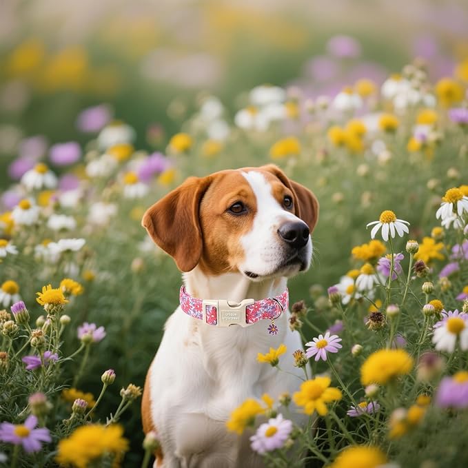 Unique style paws Dog Collar Plastic Buckle with Pendant Puppy Collar for Spring Summer Purple Flower for Small Medium Large Boys Girls Dogs