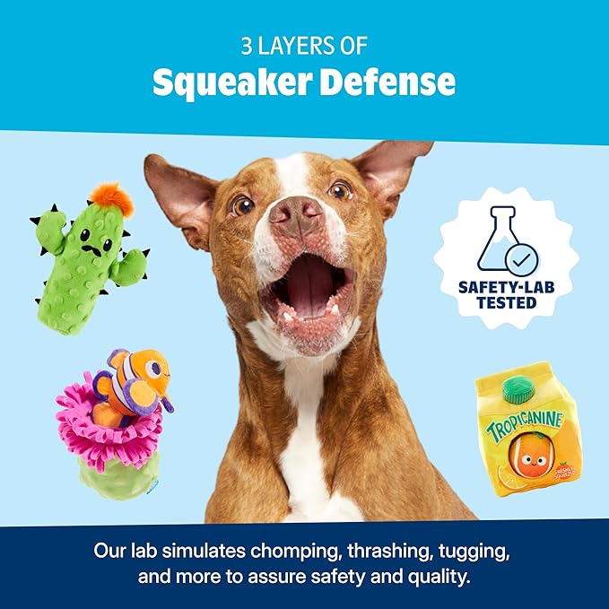 Barkbox Kiweeeee! Flying Disc Dog Toy | Fluff-Free Crinkle Disc with T-Shirt Rope Edge | Durable Fetch Toy for Dogs & Puppies Who Love to Toss & Chase
