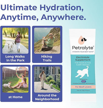 Petralyte Dog Electrolytes and Joint Supplement | Hydration Support for Dogs w/Glucosamine, Chondroitin & More | Electrolytes for Dogs with Prebiotics | for Beef Lovers | 16 Packets