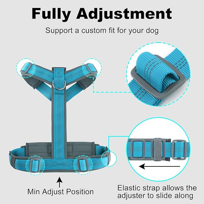 Plutus Pet No Pull Dog Harness, Adjustable Nylon Harness with Soft Padding, Reflective and Heavy Duty Dog Harness for Small, Medium, Large Dogs(Cyan, L)