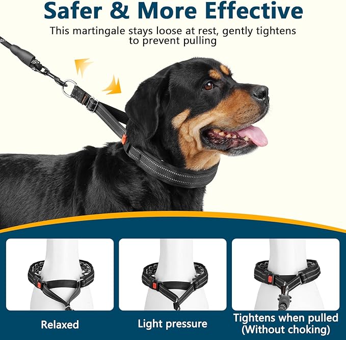 Crazy Felix No Pull Martingale Collar for Large Medium Small Dog Pitbull German Shepherd Doberman, Dog Collar Anti Pull with Buckle for Training Walking (Black, XL-Neck 19.25-22", 1.5" Wide)
