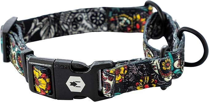 Wolfgang Heavy Duty Martingale Dog Collar with Quick Release Nylon Buckle for Walking & Training, LosMuertos Print, Extra Large