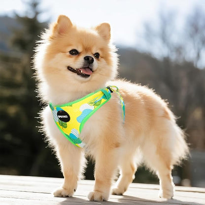 Small Dog Harness and Leash Set of 6, No Pull Soft Lightweight Mesh Puppy Harness， Adjustable Cute Floral Pattern Pet Harness for Small Medium Dogs (Green Leaf, S)