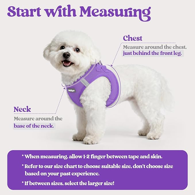 rabbitgoo Dog Harness Small Sized and Leash Set, Step in Soft Light Puppy Vest, Breathable Mesh Pet Harness, Reflective for Safe Outdoor Walking, Purple XS