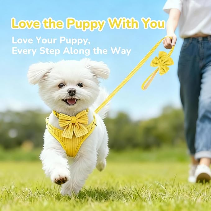 Small Dog Collar Harness and Leash Set, Dog Harness no Pull with Bowtie, Breathable Cotton Adjustable Pet Puppy Harness, Easy Walk Dog Harness, M(16-21")