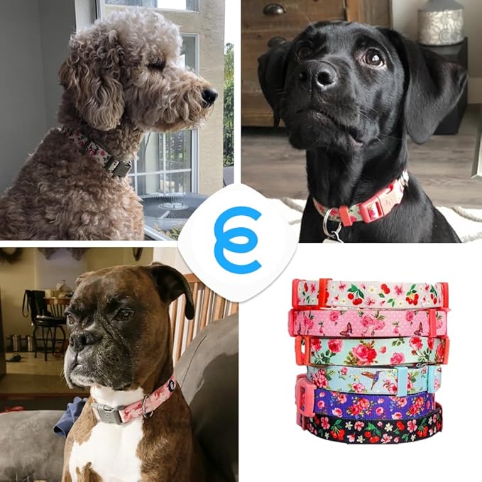 Blueberry Pet 7 Patterns Cherry Garden Grey Adjustable Dog Collar with Dainty Flowers, Medium, Neck 14.5"-20"