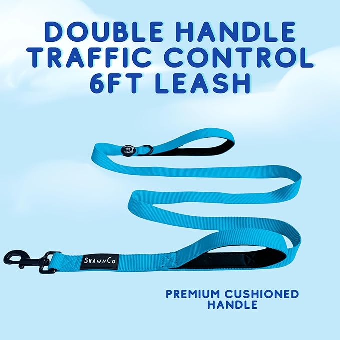 ShawnCo Dream Walk Dog Leash- Premium, Nylon Pet Leash with Soft Neoprene Handle for Small, Medium and Large Dogs (Oceanic Blue, M/L 6FT w/ 2 Handles)