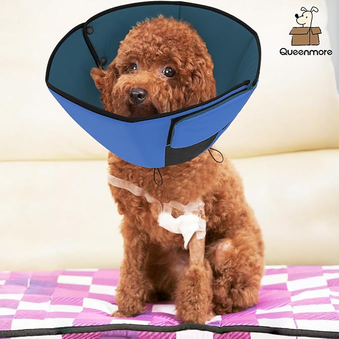 Queenmore Dog Cone XL, Soft Dog Cones for Large Dogs After Surgery, Cone for Dogs to Stop Licking, Elizabethan Collar for Pet, Alternative to Recovery Collar for Large Breeds, Blue XL