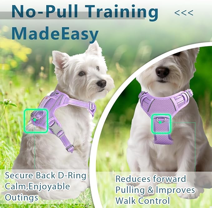 BARKBAY Dog Harness No Pull with ID Tag Pocket - Heavy Duty, Reflective, Easy Control for Large Dogs(Violet Purple,XS)