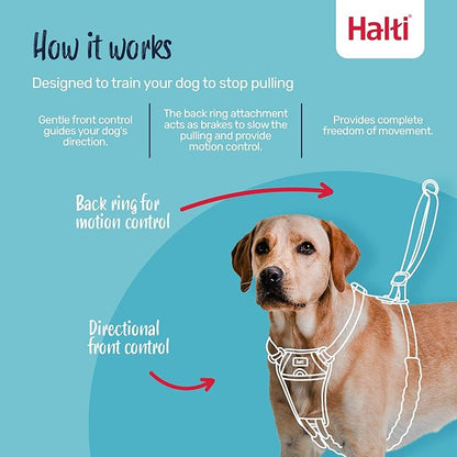 Halti No Pull Harness Size Medium & Halti Training Leash Size Large, Black Combination Pack - Stop Your Dog Pulling on The Leash. Adjustable, Lightweight and Easy to Use. Suitable for Medium Dogs