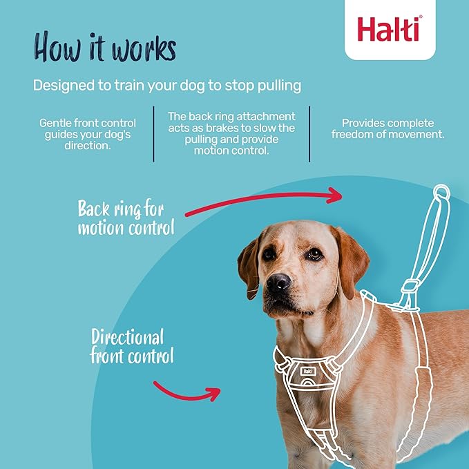 Halti No Pull Harness - Stop Your Dog Pulling on The Leash. Adjustable, Lightweight and Easy to Use. Reflective Dog Training Harness for Medium Dogs (Size M, Deep Walnut)