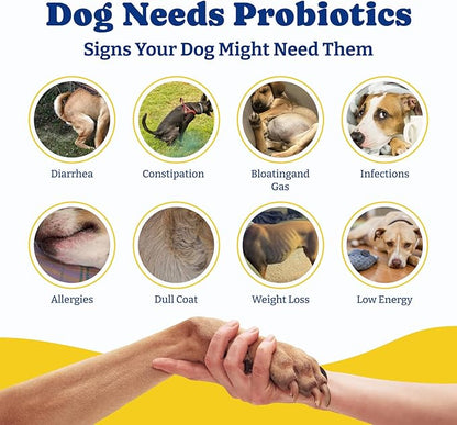 Probiotics for Dogs - Dog Probiotics for Digestive Health, Yeast, Itchy Skin, Gut Health, Immune & Skin - 6 Billion CFUs, 180 Soft Chews, Duck & Pear Flavor - with Prebiotics & Digestive Enzymes