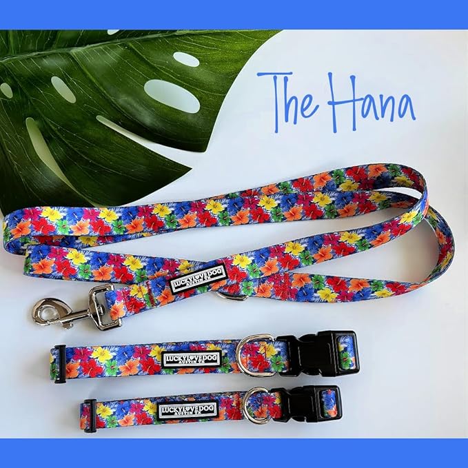 Lucky Love Dog - Easy Click Buckle Dog Collar with Leash Set Combo, Durable & Comfortable for Male & Female Dogs, Pet Collar for Small Dogs, Secure Fit - Hana Combo, XS