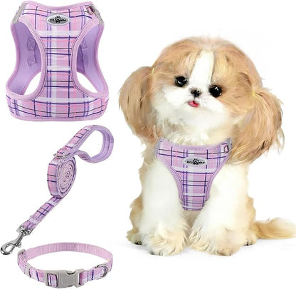 Gyuzh Small Dog Harness and Leash Set for Puppy & Kitten - 3-in-1 No Pull Step in Vest Collar, Lightweight Reflective Plaid, Padded Handle (Purple, XS)