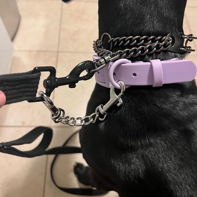 Safety Clip Metal Double Ended Backup Dog Collar Clip for Prong Harness Connector (Medium)