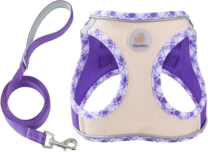 Hipubby Dog Harness Small Sized and Leash Set, No Pull Soft Mesh Puppy Vest, Reflective Breathable Lightweight Pet Harness, Harness for Small Medium Dogs and Cats - Purple/White Trim, L