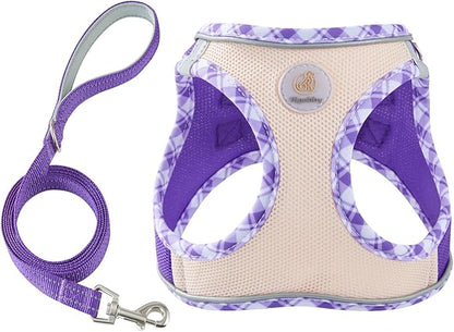 Hipubby Dog Harness Small Sized and Leash Set, No Pull Soft Mesh Puppy Vest, Reflective Breathable Lightweight Pet Harness, Harness for Small Medium Dogs and Cats - Purple/White Trim, S
