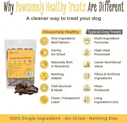Pawsomely Healthy Crunchy Beef Spleen Jerky for Dogs – Natural Single-Ingredient Air-Dried Treat, High-Protein & Grain-Free, Made in USA - 3 oz
